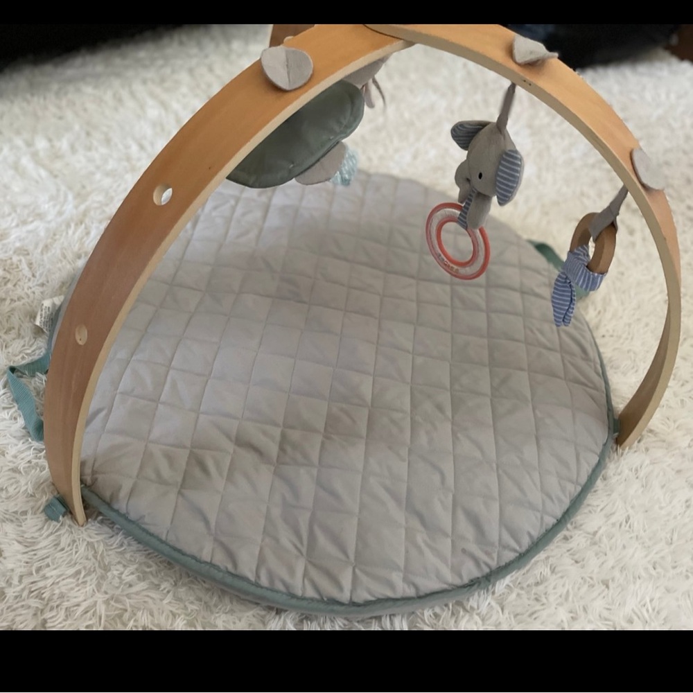 Ingenuity Baby Play Mat